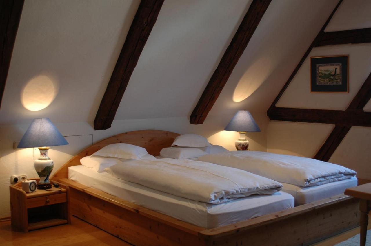 Hotel Schwarzer Adler Ερλάνγκεν Εξωτερικό φωτογραφία